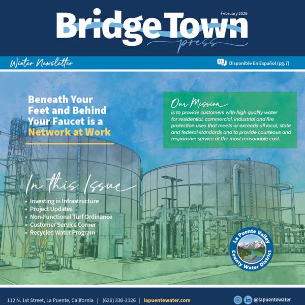 Cover image of news article Winter 2026 Newsletter Now Available (En & Sp)